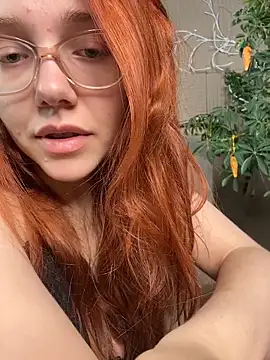 PollyVinice online show from 25, 5, 2026