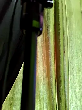 Snapshot of chocolate_alone chatting on 10, 11, 2025 chocolate alone online show from 10, 11, 2025