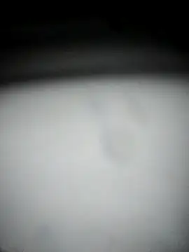 hana9998 online show from 11, 9, 2025