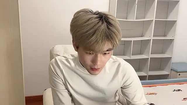 xiaoyang5200 online show from 29, 3, 2026