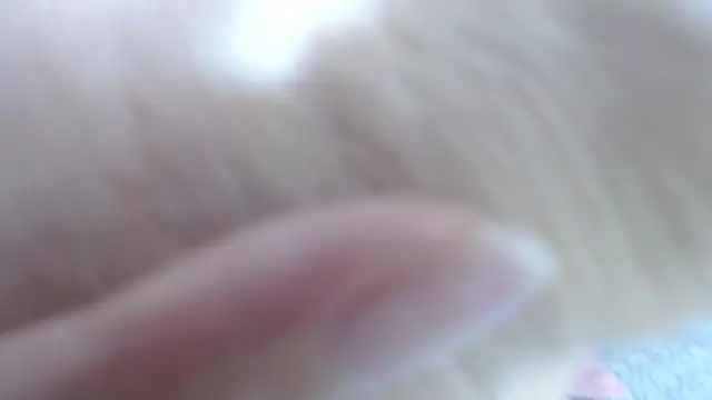 Snapshot of karla_lopes chatting on 14, 12, 2025 karla lopes online show from 14, 12, 2025