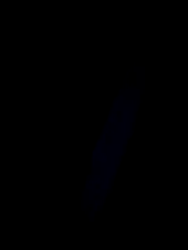 Marleymols online show from 2, 12, 2025