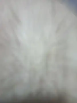 Jobson40 online show from 1, 2, 2026