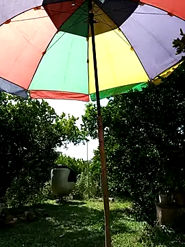 AlphaAlterX online show from 17, 2, 2026