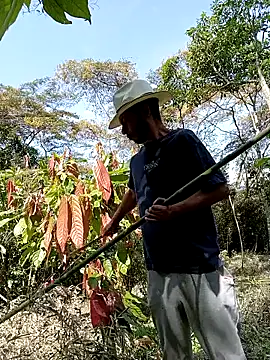 AlphaAlterX online show from 1, 3, 2026