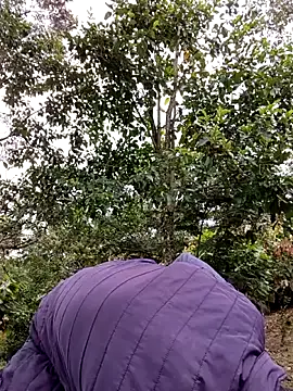 AlphaAlterX online show from 28, 3, 2026