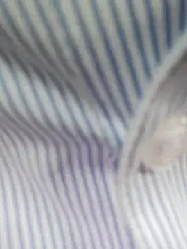 bingxin- online show from 19, 12, 2025