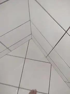 Novin23cms online show from 19, 12, 2025