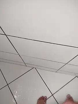 Novin23cms online show from 2, 12, 2025