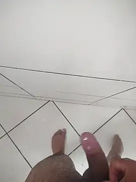 Novin23cms online show from 3, 12, 2025