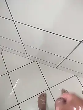 Novin23cms online show from 18, 11, 2025