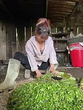 Mai bb online show from 6, 11, 2025