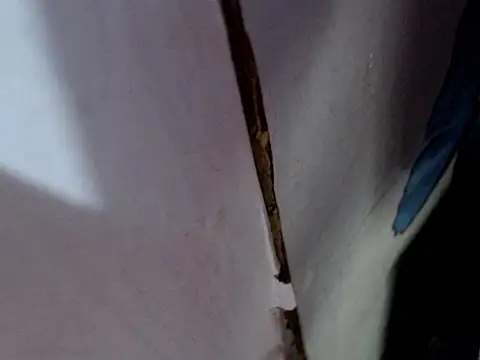 MissfrancesXxx online show from 7, 3, 2026