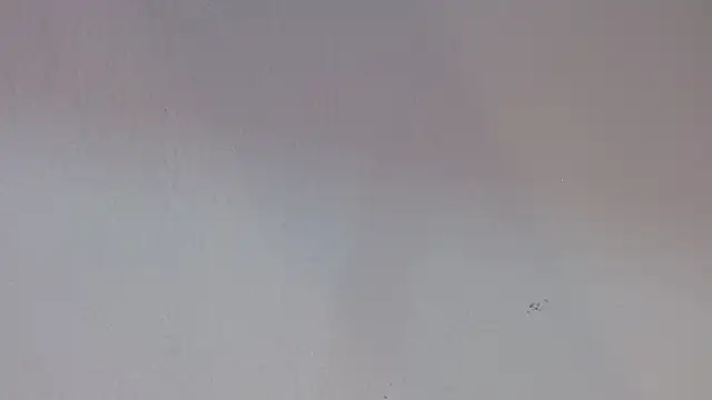 kiity horny  online show from 30, 9, 2025