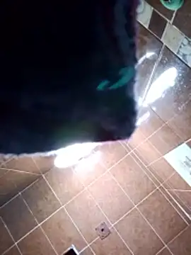 aispuro8505 online show from 28, 11, 2025