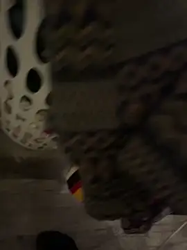 LanaAce719 online show from 18, 12, 2025