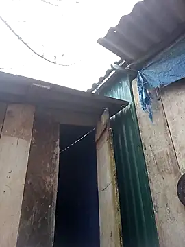 may-squirl online show from 11, 11, 2025