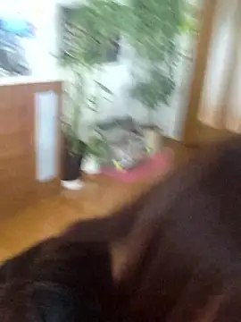 AYA dayo online show from 13, 3, 2026