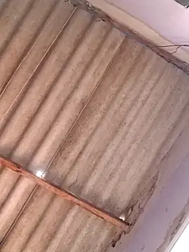 Dotadoaracaju online show from 1, 12, 2025