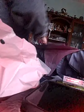 TigreBianca27 online show from 6, 11, 2025