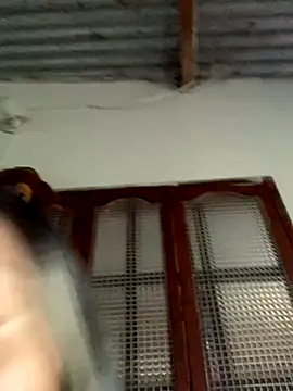 Berta arevalo blsd online show from 30, 9, 2025