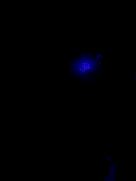 johnboones10 online show from 22, 10, 2025