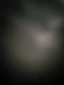 dogslavehf online show from 22, 9, 2025