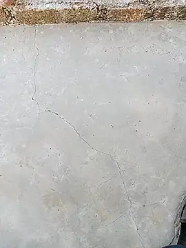 Rani sahiba online show from 4, 10, 2025