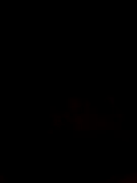 Rani sahiba online show from 3, 11, 2025