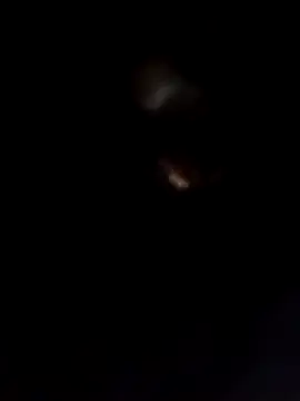 Rani sahiba online show from 7, 2, 2026