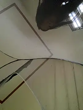 viluna online show from 2, 11, 2025