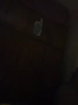 Kajal-Shemale69 online show from 19, 12, 2025