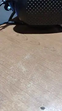 Roma Nox online show from 28, 2, 2026