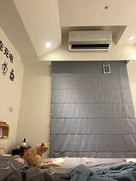 tw feibaby online show from 12, 9, 2025