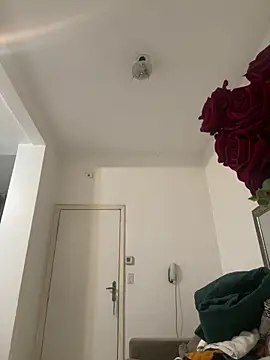 gaucha5 online show from 6, 4, 2026