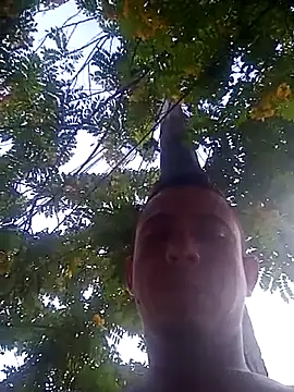 charlotte dante212 online show from 8, 10, 2025