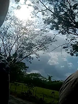 charlotte dante212 online show from 7, 3, 2026