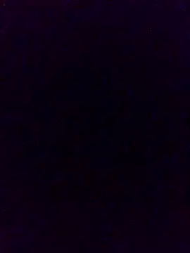 charlotte dante212 online show from 2, 10, 2025