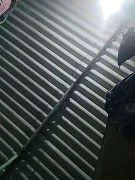 Tamilgud23 online show from 16, 11, 2025