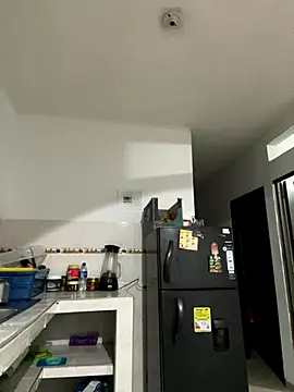 zaracollins01 online show from 3, 12, 2025