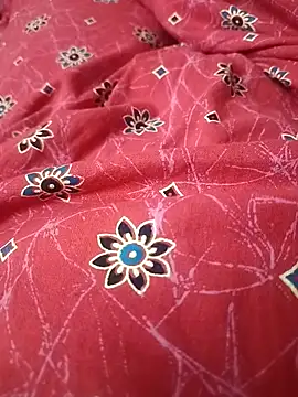 jothitelugu online show from 28, 11, 2025