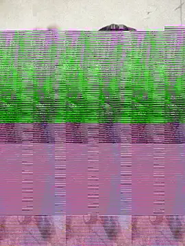 Silly Boy12 online show from 6, 11, 2025