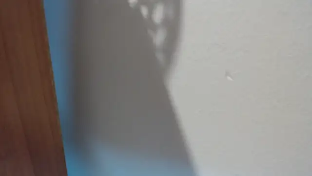 Pamela-StripX online show from 30, 4, 2026