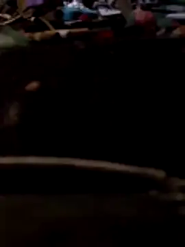 Snapshot of Bianomc1974 chatting on 8, 11, 2025 Bianomc1974 online show from 8, 11, 2025