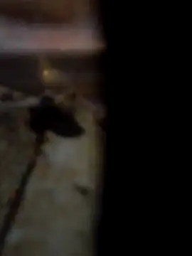 Snapshot of Bianomc1974 chatting on 30, 11, 2025 Bianomc1974 online show from 30, 11, 2025