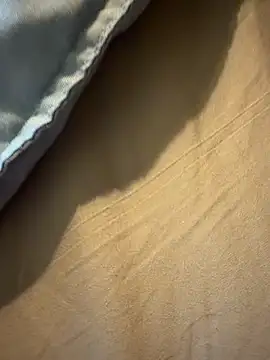 StudiedJoint85 online show from 24, 11, 2025