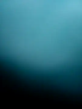 Bocuseart online show from 5, 12, 2025