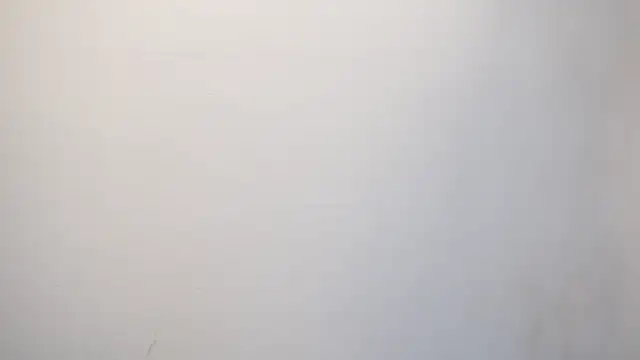 Tayler Kim online show from 24, 9, 2025