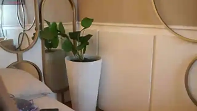 Tayler Kim online show from 7, 11, 2025