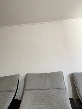 dino2603 online show from 3, 11, 2025